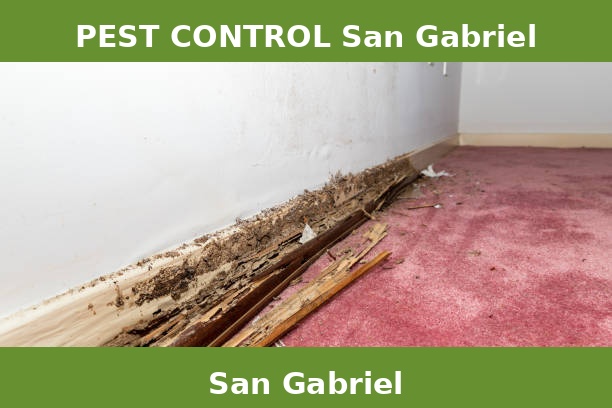 PEST CONTROL San Gabriel